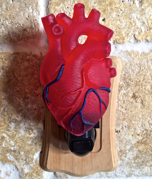 Anatomical Heart Nightlight, Hand Painted Resin Sculpture