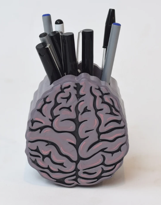 Hand Painted Brain Pen Holder, Neurology Decor
