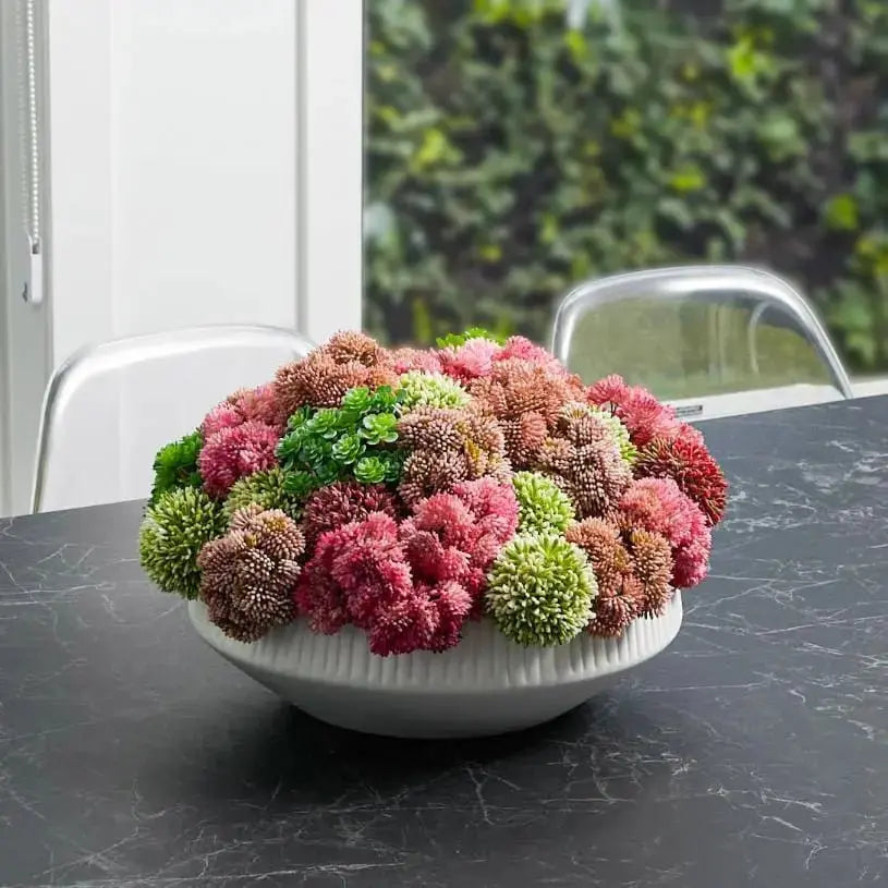 Succulent Black Flower Pot